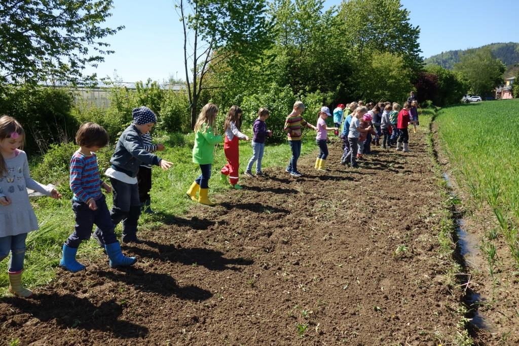 2. Klasse: Eine Bienenweide entsteht im Schulgarten | Freie